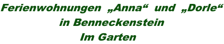 Ferienwohnungen  „Anna“  und  „Dorle“                  in Benneckenstein                        Im Garten